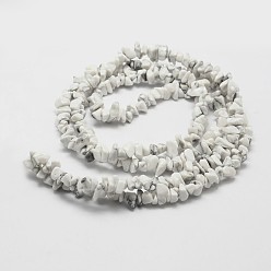 White Natural Howlite Beads Strand, Chip, White, 3~4x3~8x4~5mm, Hole: 0.4mm, 33.5 inch