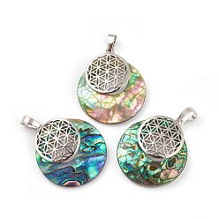 Paua Shell Natural Paua Shell Pendants, Spiritual Charms, with Platinum Tone Brass Findings, Flat Round with Flower of Life/Sacred Geometry, 32~32.5x28x7~7.5mm, Hole: 5x8mm