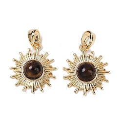 Тигровый глаз Природных тигровый глаз подвески, латунные солнечные подвески, реальный 18 k позолоченный, 17x15x4 мм, отверстие : 4x2 мм