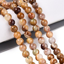 Деревянный Кружевный Камень Натуральное дерево каменным кружевом бисер нитей, круглые, 6~6.5 мм, отверстие : 0.8 мм, около 64 шт / нитка, 15.47~15.55'' (39.5 см)