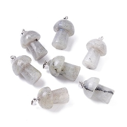 Лабрадорита Природные подвески лабрадорита, с латунной фурнитурой платинового цвета, гриб, 22~24x14~15 мм, отверстие : 2.4 мм