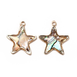 Звезда Латунь эмаль подвески, имитация раковины морского ушка, реальный 14 k позолоченный, без кадмия и без свинца, звезда, 18x16x2 мм, отверстие : 1.5 мм