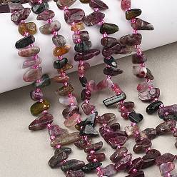 Турмалин Натуральные разноцветные турмалиновые бусины, чип, Топ пробуренной, с бисером, 9~28x5~11x3~7 мм, отверстие : 1 мм, около 46~59 шт / нитка, 15.16~15.55'' (38.5~39.5 см)