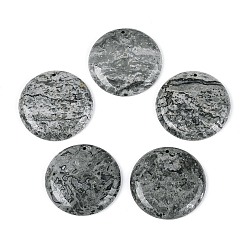 Плоский Круглый Кулоны из натурального камня, плоские круглые прелести, 41.5~42x7 мм, отверстие : 1.8~2 мм
