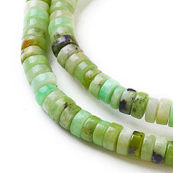 Serpentine Natural Serpentine Beads Strands, Flat Round/Disc, 4x2mm, Hole: 0.8mm, about 200pcs/strand, 15.9 inch(40.5cm)