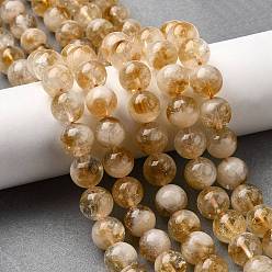Цитрин Нагретые нити из натуральных цитриновых бусин, круглые, 10 мм, отверстие : 0.9 мм, около 39 шт / нитка, 15.55'' (39.5 см)