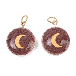 Плоский Круглый Печатные подвески из непрозрачного акрила, с петлями из нержавеющей стали, золотые, плоская круглая с лунными подвесками, 25.5x20x9 мм, Перейти кольцо: 7x0.7 мм, внутренний диаметр: 5.7 мм