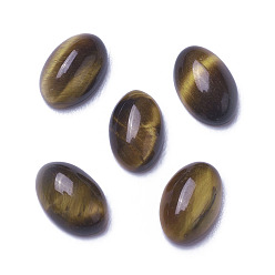 Тигровый глаз Природных тигровый глаз кабошонов, овальные, 6x4x2~3 мм
