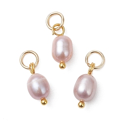 чертополох Натуральные культивированные пресноводные жемчужные рисовые подвески, с 304 фурнитурой из нержавеющей стали, золотые, чертополох, 12x5~5.5 мм, кольца прыжок: 5x1 мм, 3 мм внутренним диаметром