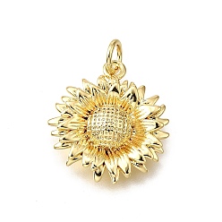 Настоящее золото 18K Латунные подвески, прелести подсолнуха, без свинца и без кадмия, стойки покрытие, долговечный, с целью перехода в кольце, реальный 18 k позолоченный, 18.5x17x4 мм, отверстие : 3.4 мм