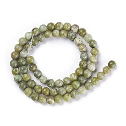 Idocrase Natural Idocrase Beads Strands, Vesuvianite Beads, Round, 4mm, Hole: 1mm, about 100pcs/strand, 16 inch