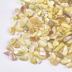LightKhaki Shell Beads, For Nail Art Decoration Accessories, No Hole/Undrilled, Dyed, Chips, Pale Goldenrod, 2~13x2~5x0.5~4mm, about 450g/bag