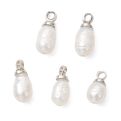 Платина Натуральные культивированные пресноводные жемчужные рисовые подвески, с латунной поручительств, белые, платина, 9.5~10.5x4~4.5 мм, отверстие : 1.4~1.6 мм