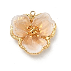 Сэнди Коричневый 304 подвески из нержавеющей стали, с акриловой, , вакуумное покрытие pvd, реальный 18 k позолоченный, песчаный коричневый, 25x25x10 мм, отверстие : 1.8 мм