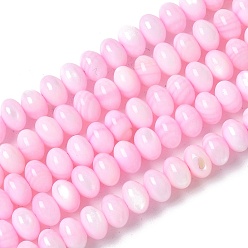 Бледно-Розовый Естественных пресноводных оболочки бисер нитей, ронедль, окрашенные, розовый жемчуг, 6x3.5~4 мм, отверстие : 1 мм, около 97~99 шт / нитка, 15.08~ 15.47 дюйм (38.3~39.3 см)