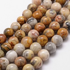 Agate Crazy Lace Brins de perles d'agate en dentelle folle naturelle, ronde, 10mm, Trou: 1mm, Environ 40 pcs/chapelet, 15 pouce