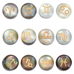 Mixed Shapes 12 шт. 12 стили натуральные черные бусины-ракушки с золотой эмалью, плоские круглые с созвездием, разнообразные, 8x5.5 мм, отверстие : 1 мм, 1 шт / стиль