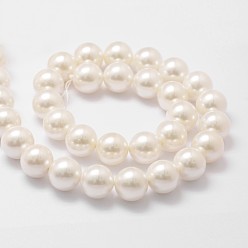 Floral White Shell Pearl Bead Strands, Grade A, Round, Floral White, 14mm, Hole: 1mm, about 28~29pcs/strand, 16 inch