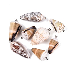 Mixed Color Brass & Natural Cone Shell Pendants, Cone Charms, Platinum, Mixed Color, 37~58x20~31x18~28mm, Hole: 4~5x3.5mm