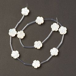 Ivoire Coquille de nacre blanche naturelle, fleur, blanc crème, 11x11.5x6mm, Trou: 0.9mm, Environ 10 pcs/chapelet, 12.80'' (32.5 cm)