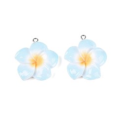 Светло-Голубой Непрозрачные подвески смолы, цветок с платиновой железной петлей, Небесно-голубой, 34~35x30~31.5x7.5~8 мм, отверстие : 2 мм