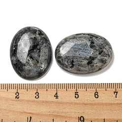 Larvikite Natural Larvikite Cabochons, Oval, 30x21.5~22x5~8.5mm