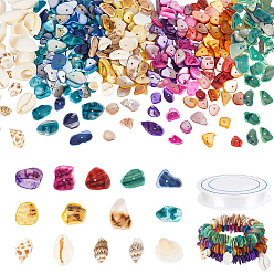 (52) Непрозрачная лаванда Наборы для изготовления браслетов из окрашенных натуральных ракушечных бусин своими руками, разноцветные, 9.5~19.5x9~13.5x2~5.5 мм, отверстие : 1.2 мм