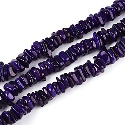 Полуночно-синий Естественных пресноводных оболочки бисер нитей, окрашенные, самородки, темно-синий, 6~23x6~7x1.5~4 мм, отверстие : 0.7~0.8 мм, около 158~166 шт / нитка, 15.16~15.55'' (38.5~39.5 см)