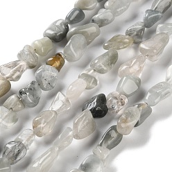 Орлиный Глаз Камень Натуральный орлиный глаз бусы, самородки, упавший камень, 4.5~11.5x3~7x3.5~6 мм, отверстие : 1~1.2 мм, около 48~68 шт / нитка, 15.35~15.94'' (39~40.5 см)