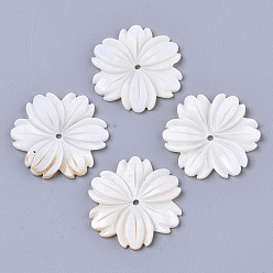 Creamy White Natural Freshwater Shell Beads, Carved, Flower, Creamy White, 29~30x28x3mm, Hole: 1.8mm