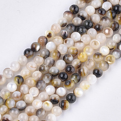 Black Black Lip Shell Beads Strands, Round, Black, 5mm, Hole: 0.8mm, about 77pcs/strand, 14.9 inch