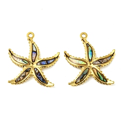 Раковина Природные пауа оболочки подвески, подвески в виде морской звезды с ионным покрытием (ip) 304 фурнитура из нержавеющей стали, реальный 18 k позолоченный, 28x24x12 мм, отверстие : 1.8 мм