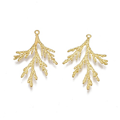 Без Покрытия Латунные подвески, без никеля , филиал, сырой (без покрытия), 35x24x2 мм, отверстие : 1 мм