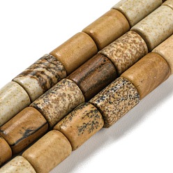 Пейзажный Джаспер Естественного изображения яшмы бисер нитей, колонка, 7.5~8x6 мм, отверстие : 1.2 мм, около 48~50 шт / нитка, 15.16''~15.31'' (38.5~38.9 см)