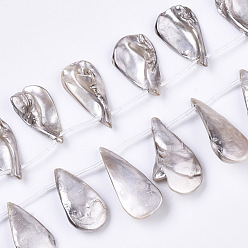 Гейнсборо Бусины из натуральных пресноводных ракушек, окрашенные распылением, сверху просверленные бусы, слеза, светло-серые, 24~40x10~20x7~12 мм, отверстие : 0.8 мм, около 15 шт / нитка, 12.99 дюйм ~ 13.77 дюйм (33~35 см)