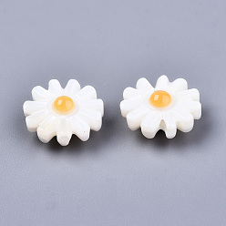 Seashell Color Natural Freshwater Shell Beads, Flower, Seashell Color, 10x4.5mm, Hole: 0.8mm