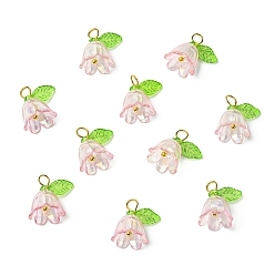 Бледно-Розовый Прозрачные акриловые подвески, с латунной фурнитурой , цветок, розовый жемчуг, 15 мм, отверстие : 3 мм