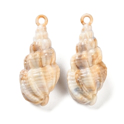 Светло-коричневый Непрозрачные акриловые подвески, имитация драгоценных камней, форма спиральной оболочки, загар, 45x20x17 мм, отверстие : 3 мм, о 98шт / 500G