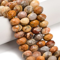 Сумасшедший Агат Природные сумасшедший агат бисер нитей, рондель, граненые, 11~12x8~8.5 мм, отверстие : 1.6 мм, около 47~48 шт / нитка, 15.24~15.75 дюйм (38.7~40 см)