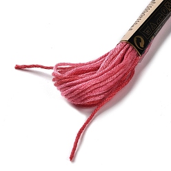Cerise 10 Skeins 6-Ply Polyester Embroidery Floss, Cross Stitch Threads, Segment Dyed, Cerise, 0.5mm, about 8.75 Yards(8m)/skein