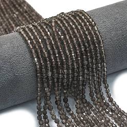Дымчатый Кварц Природный дымчатый кварц нитей бисера, энергетическая призматическая огранка с двойными концами бусины, граненые двухконусные, 3.5~4x4 мм, отверстие : 0.5 мм, около 103 шт / нитка, 14.96~15.04 дюйм (38~38.2 см)