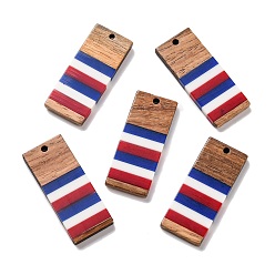 Rectangle Подвески из непрозрачной полосатой смолы и дерева ореха в честь Дня независимости, геометрические прелести, прямоугольные, 38x16x3.5 мм, отверстие : 2 мм