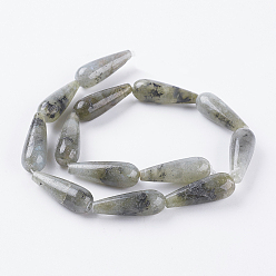Labradorite Natural Labradorite Beads Strands, teardrop, 28.5~30x10~10.5mm, Hole: 1.8mm, about 13pcs/strand, 15.1 inch(38.5cm)