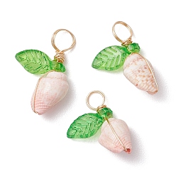 лаванда Подвески из натуральной морской ракушки, обмотанные медной проволокой, с акриловым листом цвета зеленого лайма, золотые, лаванда, 17~23x10.5~13.5x6.5~9 мм, отверстие : 4 мм