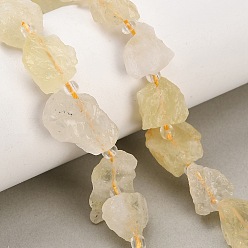 Lemon Quartz Natural Lemon Quartz Beads Strands, Heated, Raw Rough, Nuggets, with Seed Beads, 13~23x12~16x6~13mm, Hole: 1mm, about 11~13pcs/strand, 7.44''(18.9cm)~7.99''(20.3cm)