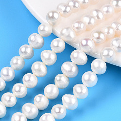 Creamy White Natural Cultured Freshwater Pearl Beads Strands, Potato, Creamy White, 8~9mm, Hole: 0.6mm, about 46~47pcs/strand, 14.76~14.96 inch(37.5~38cm)