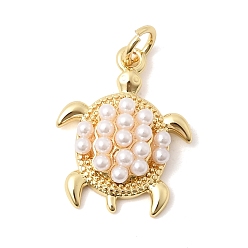 Turtle Подвески из латуни и АБС-пластика с имитацией жемчуга, с целью перехода в кольце, без кадмия и без свинца, долговечный, стойки покрытие, очарование черепахи, 19.5x15x4.5 мм, отверстие : 3.3 мм