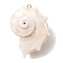 White Natural Conch Shell Pendants, Conch Chamrs, with Golden Iron Loop, White, 43x32x28mm, Hole: 1.8mm