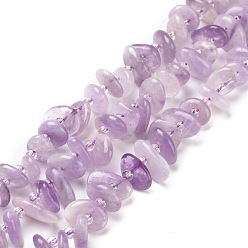 Améthyste Brins de perles d'améthyste lavande naturelle, puce, 5~18x3~9x2~5mm, Trou: 1mm, Environ 67~69 pcs/chapelet, 15.55'' (39.5~40 cm)