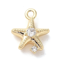 Морская звезда Подвески из золотистой латуни с микропаве из прозрачных кубических цирконий на тему морских животных, морская звезда, 14.5x11.5x5 мм, отверстие : 1.6 мм